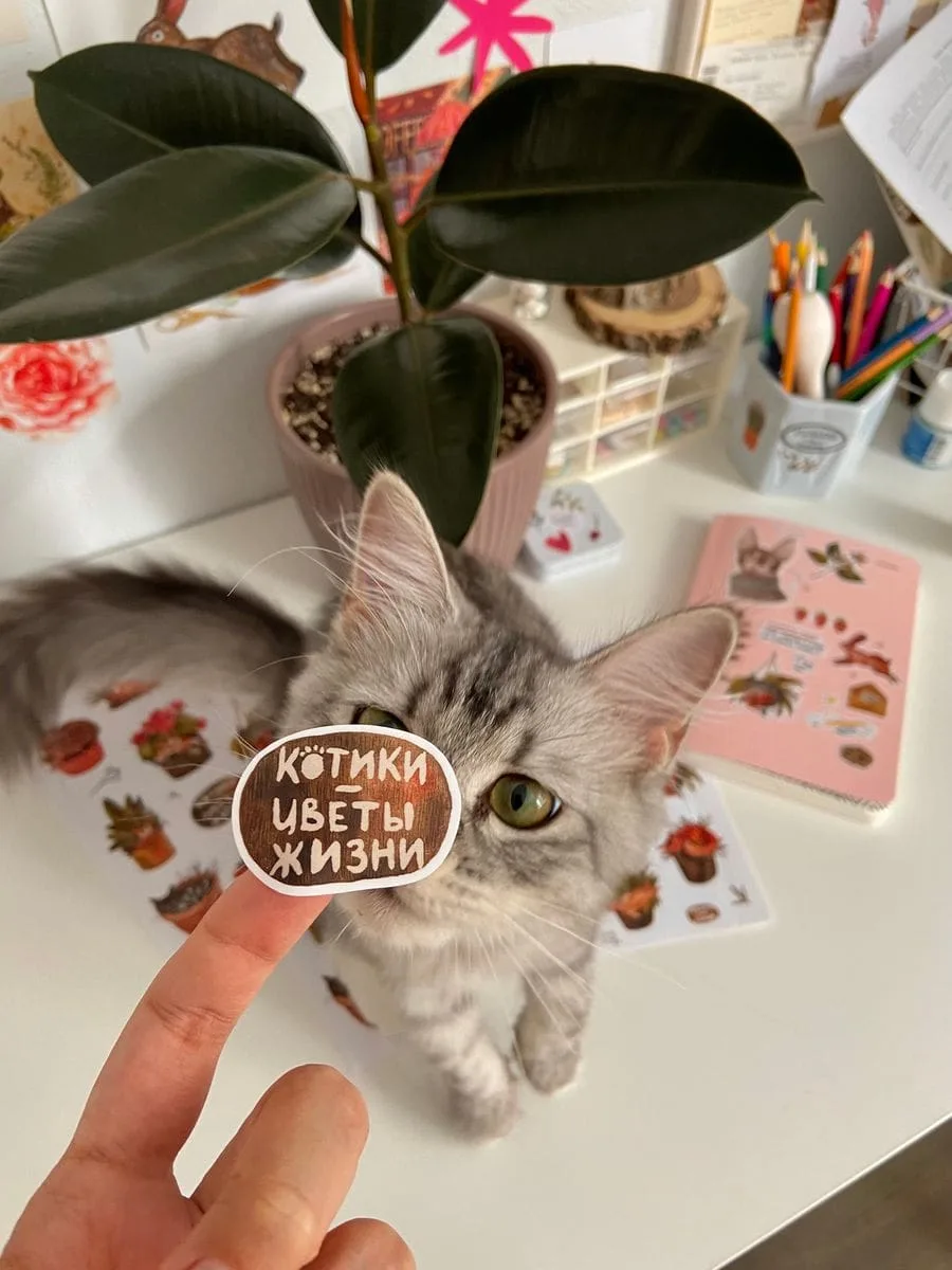 Stickers KZ 12